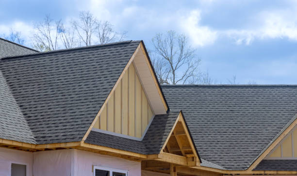 Best Solar Panel Roofing Installation  in Meridianville, AL